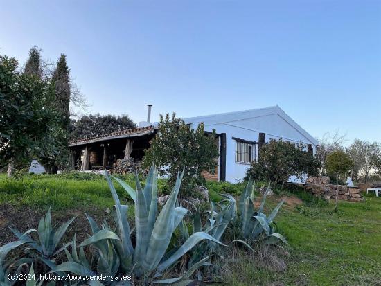 ESPECTACULAR FINCA RUSTICA DE 40 HECTÁREAS EN ALMADÉN, CIUDAD REAL - CIUDAD REAL