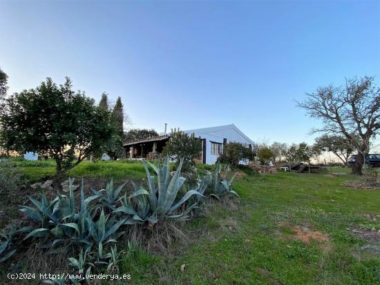 ESPECTACULAR FINCA RUSTICA DE 40 HECTÁREAS EN ALMADÉN, CIUDAD REAL - CIUDAD REAL