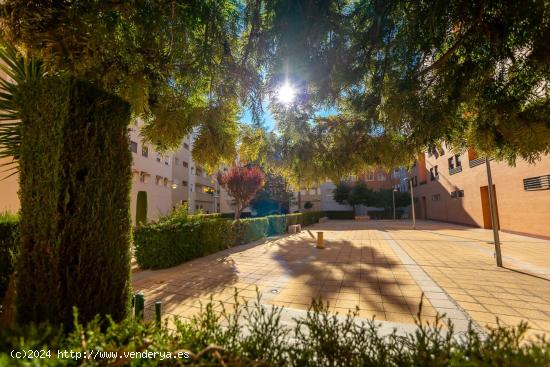 PLAZA DE APARCAMIENTO PARA USO O COMO INVERSIÓN EN ARROYO DEL MORO, CORDOBA - CORDOBA