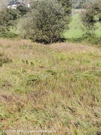 Terreno rustico - CANTABRIA