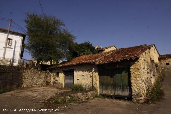 CUADRAS EN BIELVA - CANTABRIA