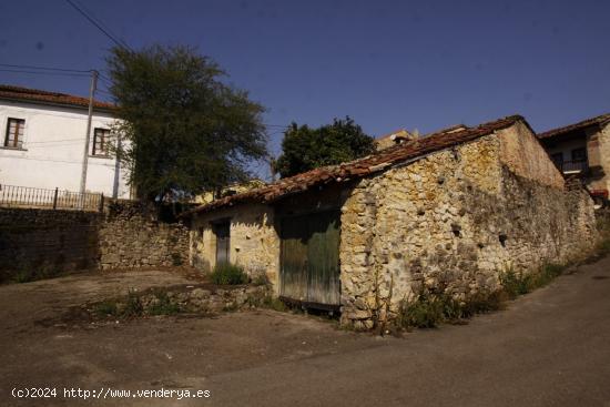 CUADRAS EN BIELVA - CANTABRIA