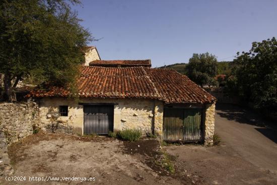 CUADRAS EN BIELVA - CANTABRIA