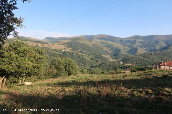  PARCELA RUSTICA EN VEGUILLA DE SOBA - CANTABRIA 