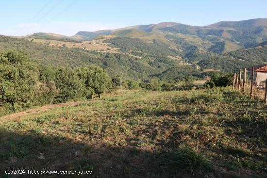 PARCELA RUSTICA EN VEGUILLA DE SOBA - CANTABRIA