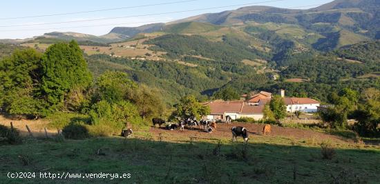 PARCELA RUSTICA EDIFICABLE VEGUILLA SOBA - CANTABRIA