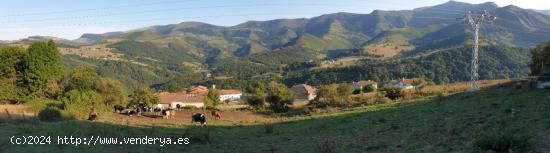 PARCELA RUSTICA EDIFICABLE VEGUILLA SOBA - CANTABRIA