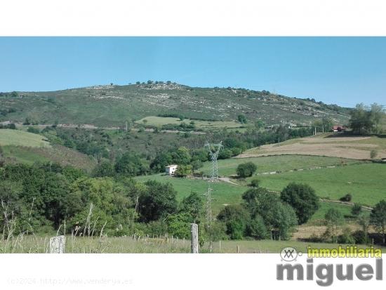 Se vende caserío con gran extensión de terreno en  Herrerias - CANTABRIA