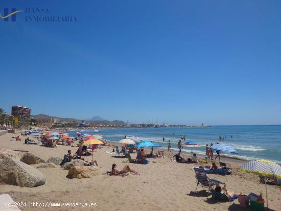 PARCELA URBANA JUNTO A LA PLAYA DE CAMPELLO - ALICANTE