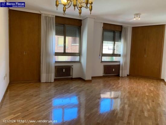 APARTAMENTO EN ALQUILER MUY LUMINOSO, ZONA CENTRO LEON (CIUDAD) - LEON