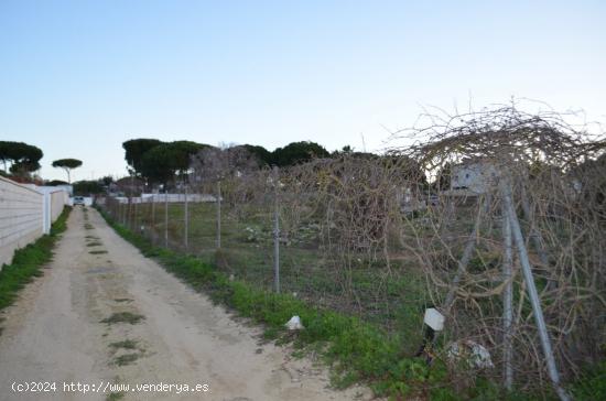  No pierda la oportunidad de comprar un terreno en el Pinar de los Franceses - CADIZ 