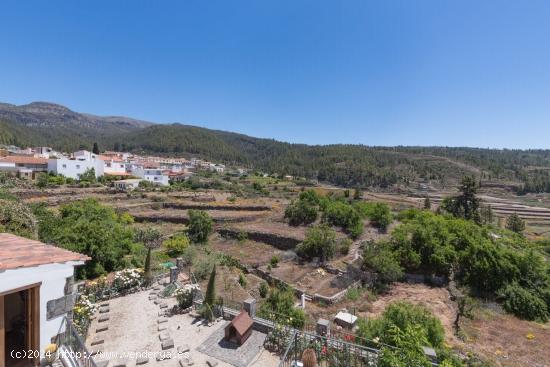 Maravillosa casa antigua en Vilaflor - SANTA CRUZ DE TENERIFE