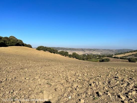 ESTUPENDA PARCELA RUSTICA EN VEJER DE LA FRONTERA - CADIZ