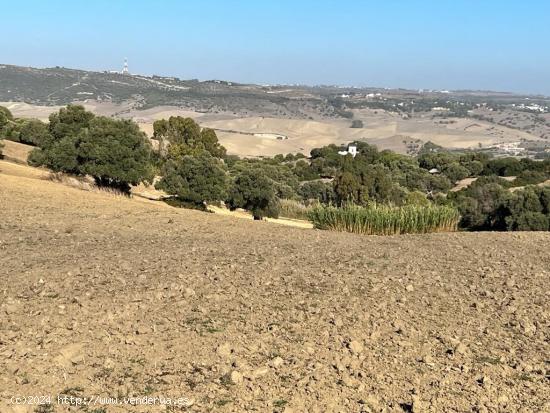 ESTUPENDA PARCELA RUSTICA EN VEJER DE LA FRONTERA - CADIZ