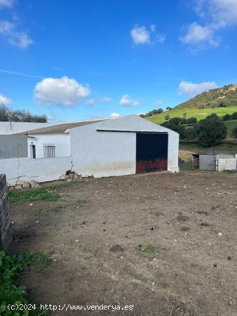 FINCA  RÚSTICA EN ZONA EL ALGAR, ENTRE VEJER DE LA FRONTERA Y MEDINA SIDONIA - CADIZ