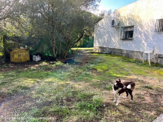 CASA EN TERRENO RÚSTICO CERCA DE VEJER DE LA FRONTERA - CADIZ