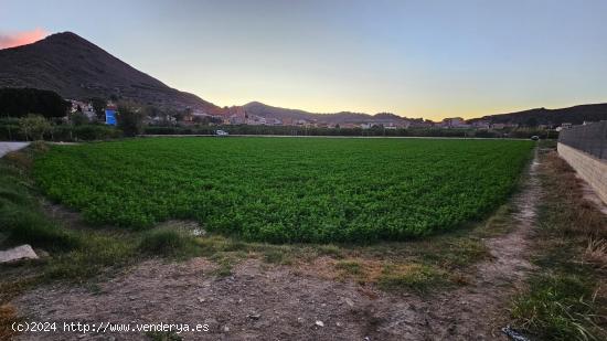 Gran terreno para el hogar de tus sueños - MURCIA