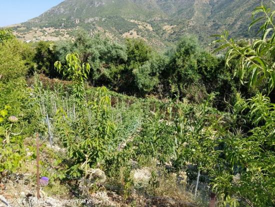 Venta de Finca en Zahara de la Sierra, Cádiz - CADIZ