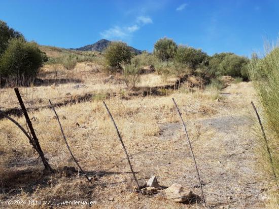 Venta de Finca en Grazalema, Sierra de Cádiz - CADIZ