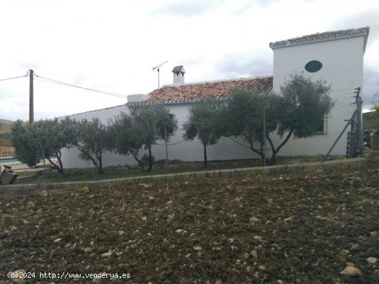 Venta de Finca Rustica en Los Villalones - MALAGA