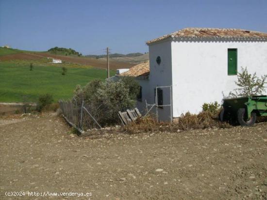 Venta de Finca Rustica en Los Villalones - MALAGA