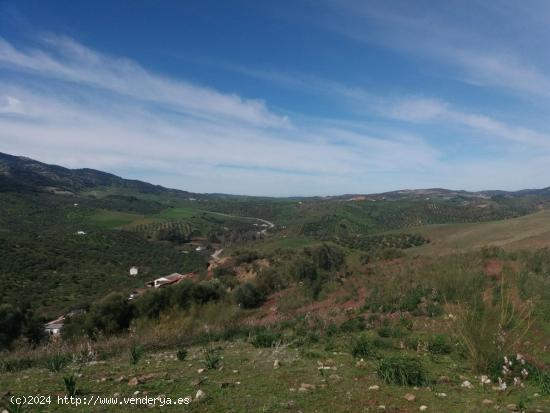 Parcela Zahara de la Sierra - CADIZ