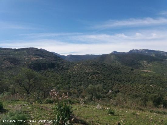 Parcela Zahara de la Sierra - CADIZ