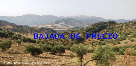 SE VENDE FINCA RUSTICA EN ALGODONALES - CADIZ