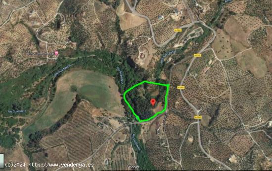 SE VENDE FINCA RUSTICA EN ALGODONALES - CADIZ