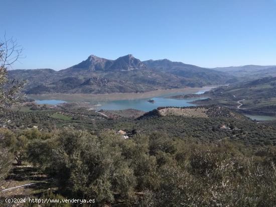 SE VENDE FINCA RUSTICA CON OLIVAR EN ZAHARA DE LA SIERRA - CADIZ