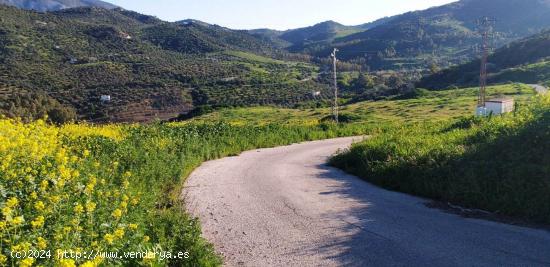 SE VENDE FINCA RUSTICA DE TIERRA DE LABOR EN ZAHARA DE LA SIERRA - CADIZ