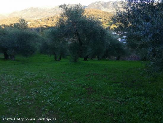 SE VENDE TERRENO CON CASA EN CORTES - MALAGA