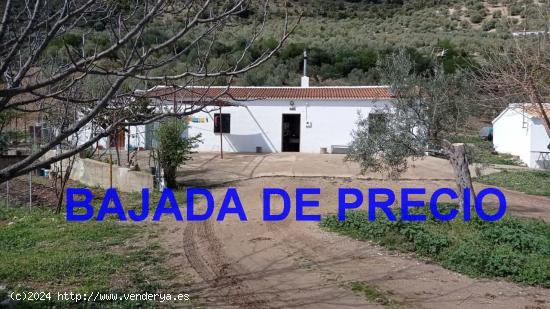  SE VENDE FINCA RUSTICA CON CASA EN ZAHARA DE LA SIERRA - CADIZ 