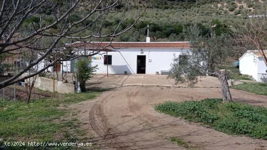 SE VENDE FINCA RUSTICA CON CASA EN ZAHARA DE LA SIERRA - CADIZ