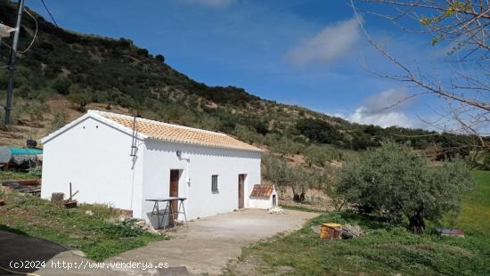 SE VENDE FINCA RUSTICA CON CASA EN ZAHARA DE LA SIERRA - CADIZ