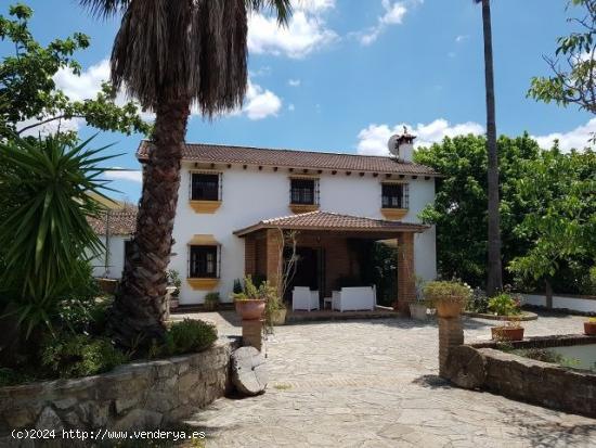 SE VENDE FINCA CON CASA RURAL EN JIMENA DE LA FRONTERA - CADIZ