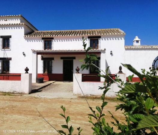 SE VENDE FINCA EN ARCHIDONA - MALAGA