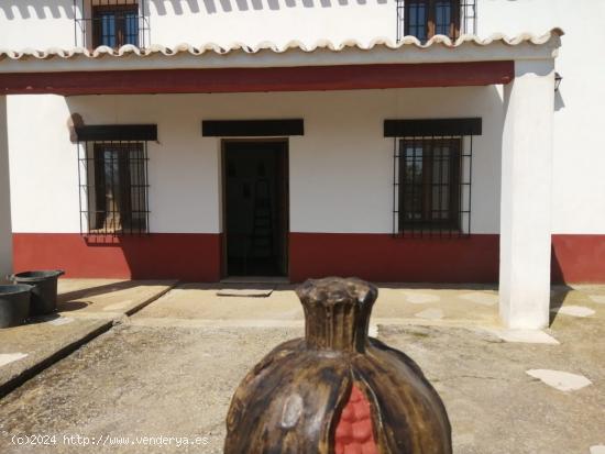 SE VENDE FINCA EN ARCHIDONA - MALAGA