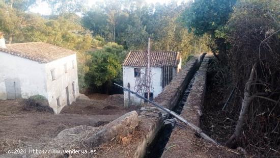 SE VENDE TERRENO EN ALGODONALES - CADIZ