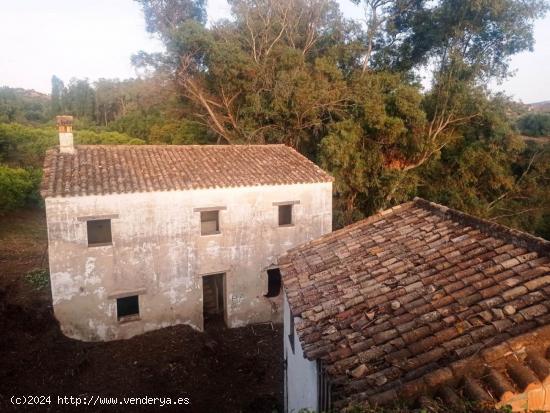 SE VENDE TERRENO EN ALGODONALES - CADIZ