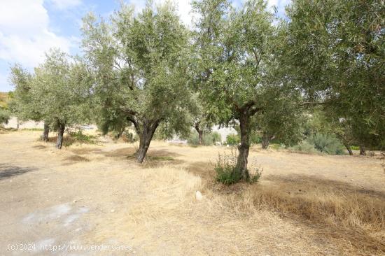 PARCELA EN HUETOR-SANTILLAN - GRANADA