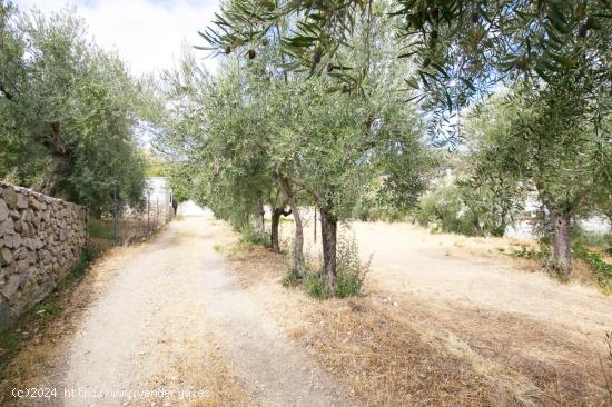 PARCELA EN HUETOR-SANTILLAN - GRANADA