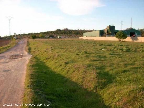 MONTIJO, TERRENO RUSTICO 9.800 M2, CON LUZ Y AGUA - BADAJOZ