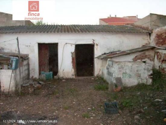 PUEBLA DE LA CALZADA, VIVIENDA A DOS CALLES, 500 M2 SOLAR. - BADAJOZ