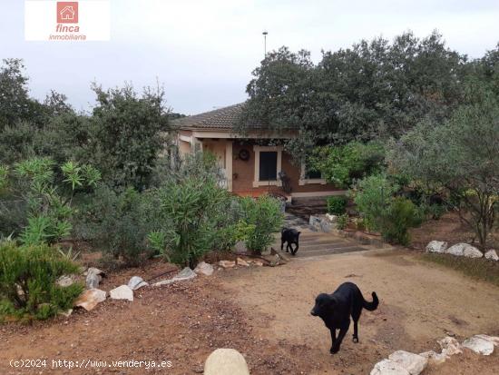 CRTA MONTIJO-LA NAVA, CHALET CON TERRENO RUSTICO 6HA OLIVOS, GRAN PRODUCCIÓN, CHARCA Y POZO AGUA - 