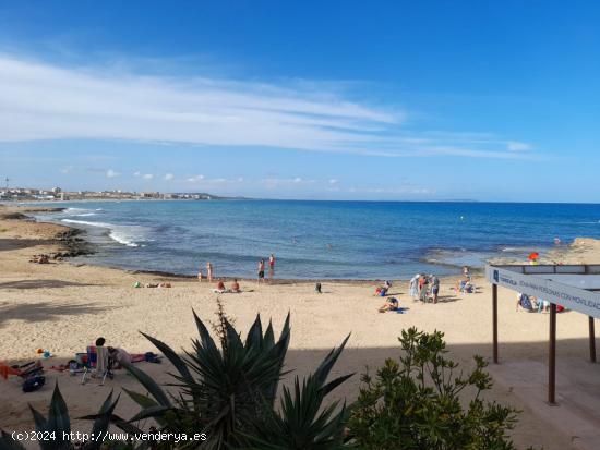 Alquiler larga duración-Cabo cervera, vistas al mar - ALICANTE