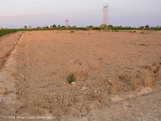 TERRENO A 4 KM. DE ELCHE, EN LAS BAYAS - ALICANTE