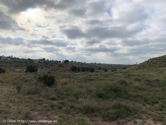 Parcela con terreno rústico de 37.000m2 en zona Bonavista - ALICANTE