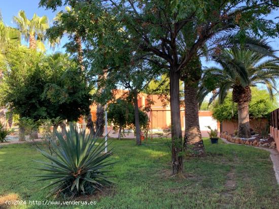 Chalet urbano en Elche, (Matola). - ALICANTE