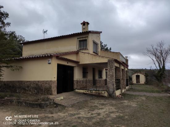 FINCA EN AYORA DE 73.000 M2 - VALENCIA